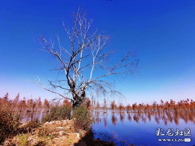 毛囊炎怎么治疗？游戏画面